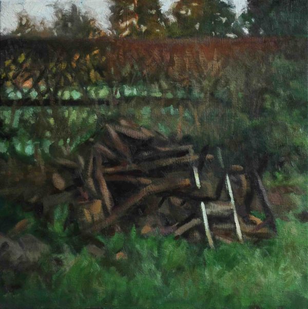 Naast het houthok - augustus 6:00 - 7:00