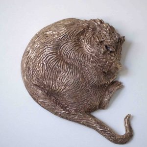 Opgerold is veilig (3-luik), Coendou