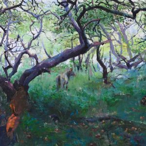 Noor en de betoverde boomgaard