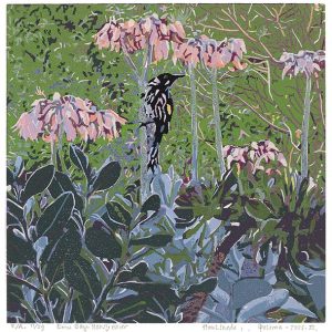 2025-III   Emu Bay - Honeyeater