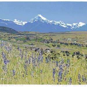 2025-V  Aoraki-Mt. Cook