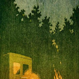 Zomeravond met vuurkorf