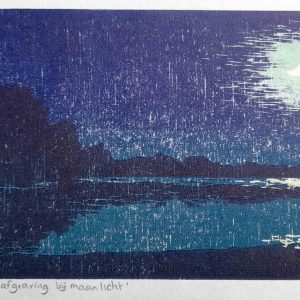 Zandafgraving bij maanlicht