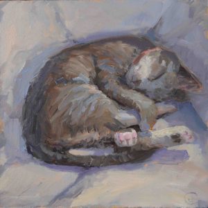 Niet storen is een schilderij van een slapende kat geschilderd door Edwin Grissen