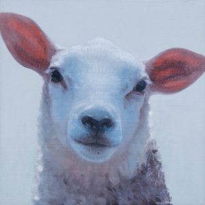 Schapenkopje is een portret van een schaap geschilderd door kunstenaar Hinke Posthuma