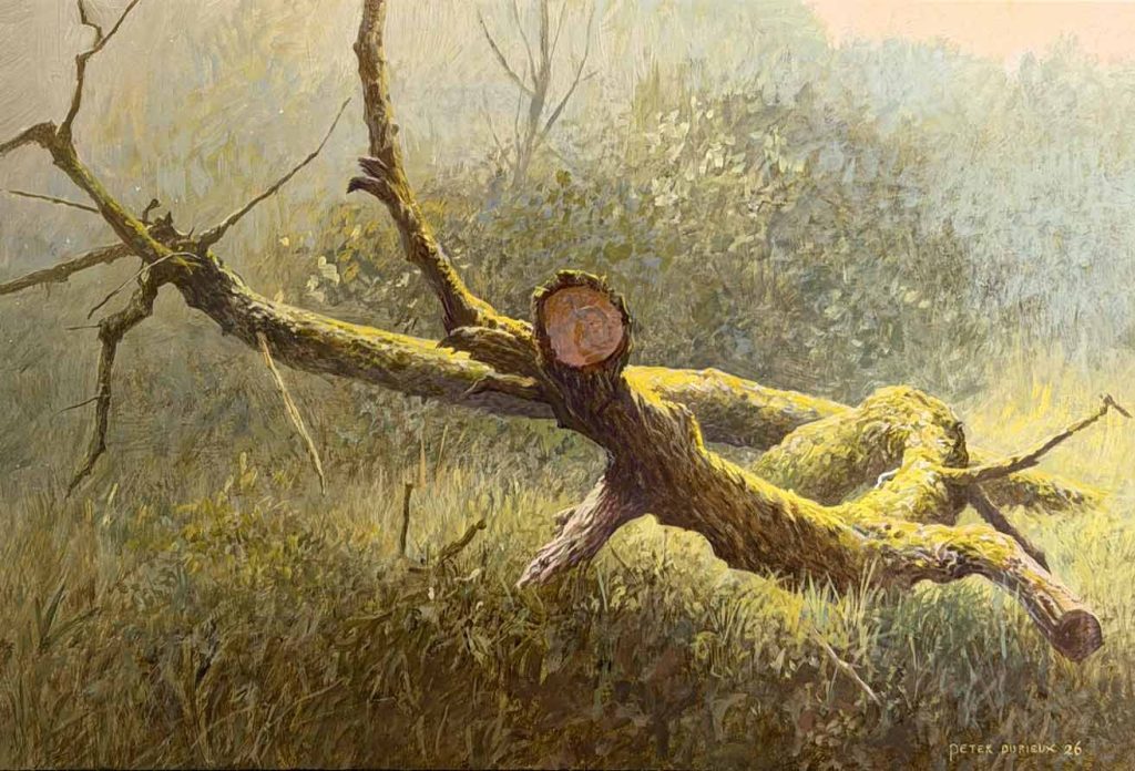 gevelde boom is een schilderij van kunstnaar Peter Durieux