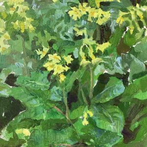 Primula's is een schilderij van een plant geschilderd door kunstenaar Anna Maria Vargiu