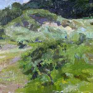 Duinkom bij Noordwijk is een schilderij van de duinen geschilderd door Anna Maria Vargiu